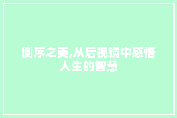 倒序之美,从后视镜中感悟人生的智慧