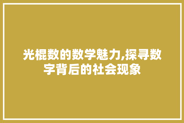 光棍数的数学魅力,探寻数字背后的社会现象