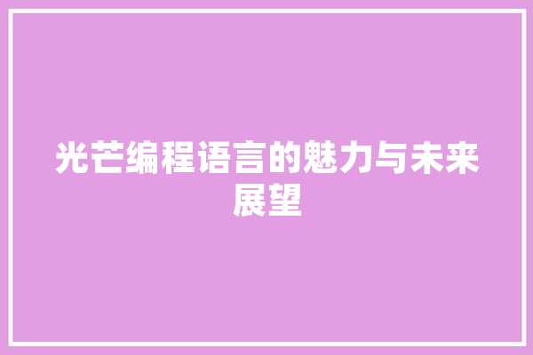 光芒编程语言的魅力与未来展望 文字写作
