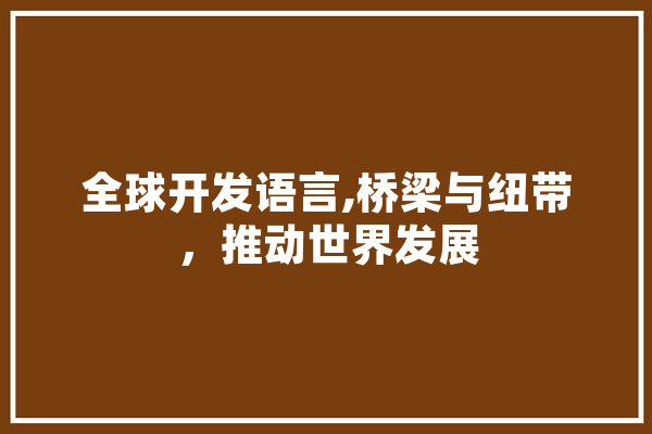 全球开发语言,桥梁与纽带，推动世界发展 绘影字幕