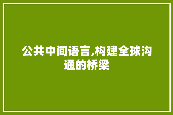 公共中间语言,构建全球沟通的桥梁 科技快讯