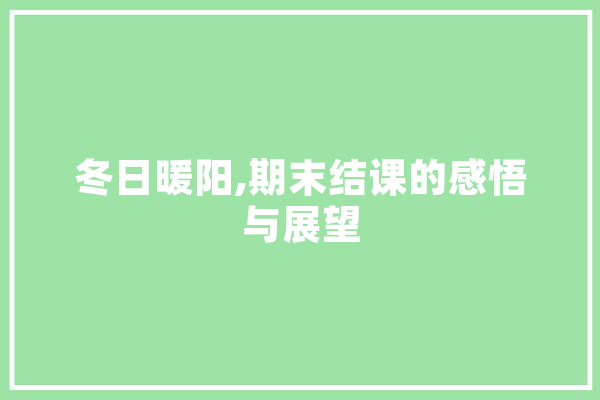 冬日暖阳,期末结课的感悟与展望