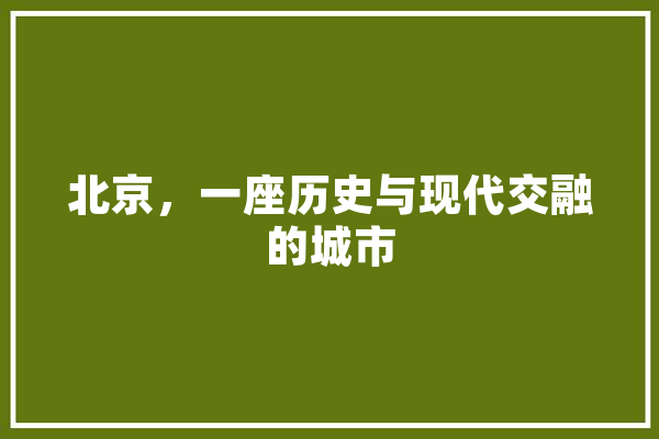 北京，一座历史与现代交融的城市