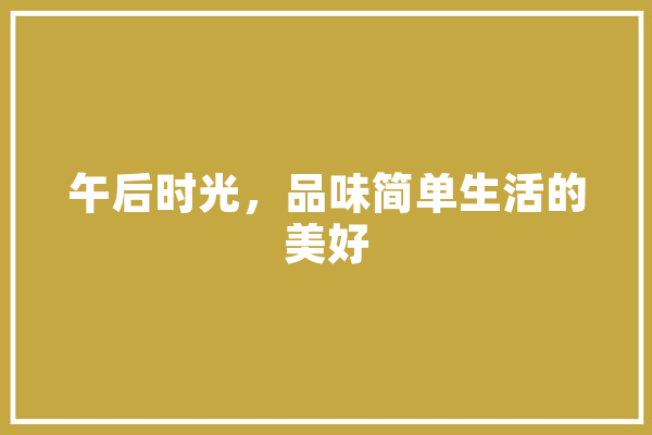 午后时光，品味简单生活的美好 智能助手