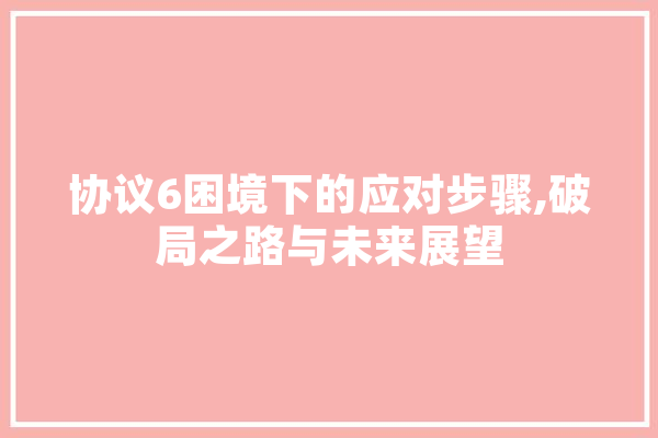 协议6困境下的应对步骤,破局之路与未来展望