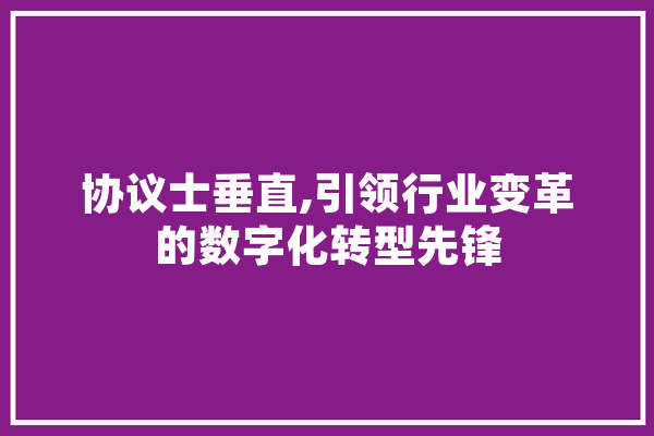 协议士垂直,引领行业变革的数字化转型先锋