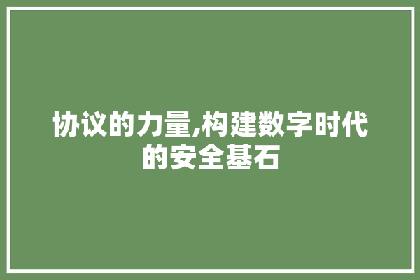 协议的力量,构建数字时代的安全基石