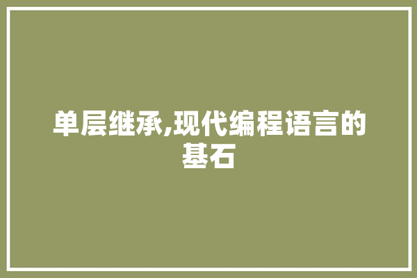 单层继承,现代编程语言的基石 科技快讯