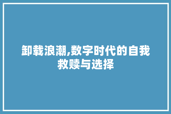 卸载浪潮,数字时代的自我救赎与选择