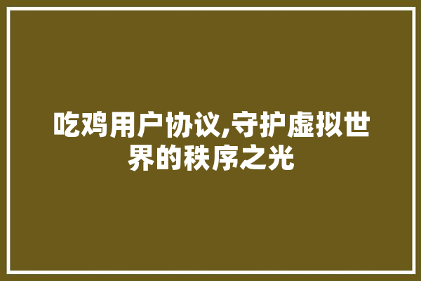 吃鸡用户协议,守护虚拟世界的秩序之光 智能助手