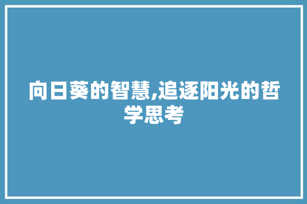 向日葵的智慧,追逐阳光的哲学思考