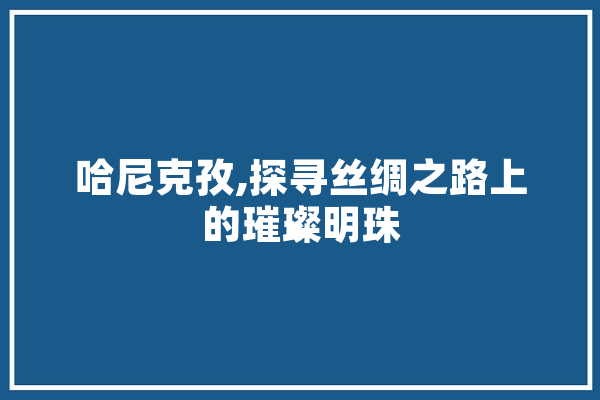 哈尼克孜,探寻丝绸之路上的璀璨明珠