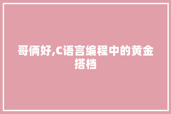 哥俩好,C语言编程中的黄金搭档