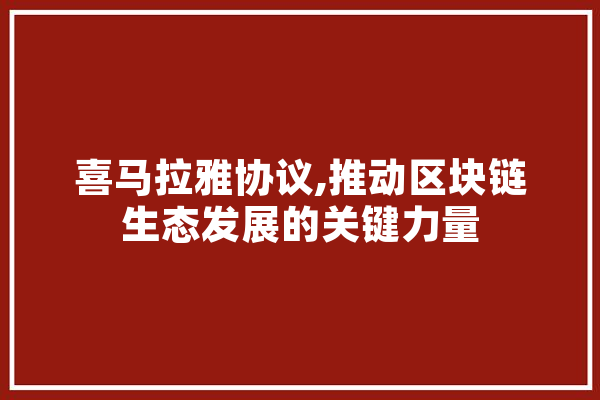 喜马拉雅协议,推动区块链生态发展的关键力量