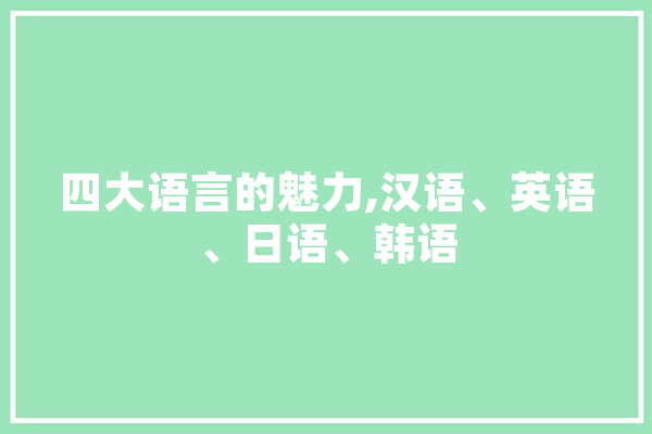 四大语言的魅力,汉语、英语、日语、韩语