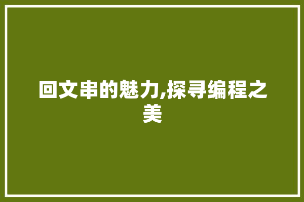 回文串的魅力,探寻编程之美