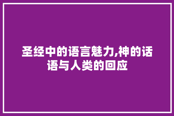 圣经中的语言魅力,神的话语与人类的回应 云服务