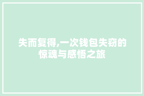 失而复得,一次钱包失窃的惊魂与感悟之旅