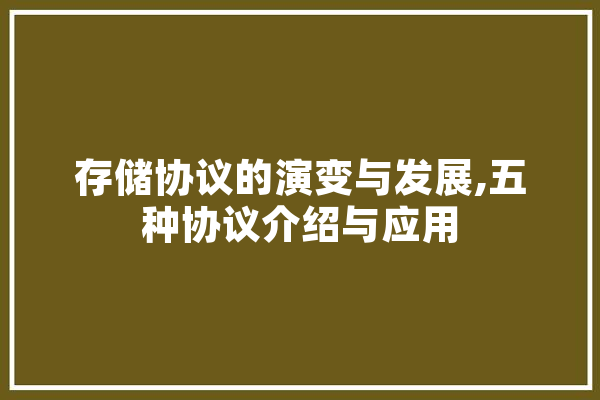 存储协议的演变与发展,五种协议介绍与应用 文字写作