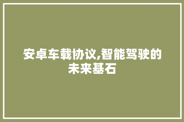 安卓车载协议,智能驾驶的未来基石