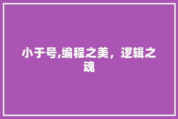 小于号,编程之美，逻辑之魂