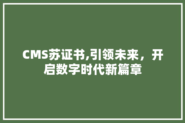 CMS苏证书,引领未来，开启数字时代新篇章