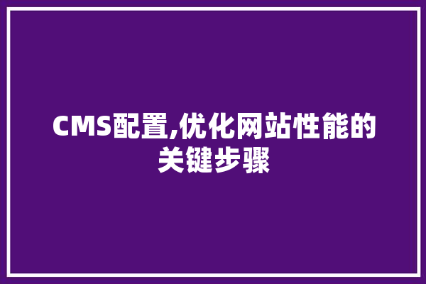 CMS配置,优化网站性能的关键步骤 文字写作