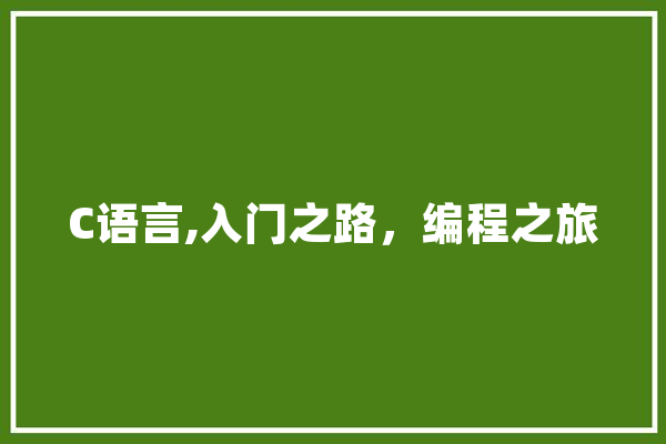 C语言,入门之路，编程之旅 科技快讯