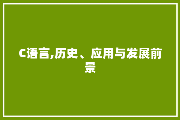 C语言,历史、应用与发展前景 AI快讯