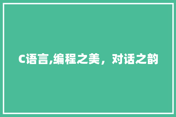 C语言,编程之美，对话之韵