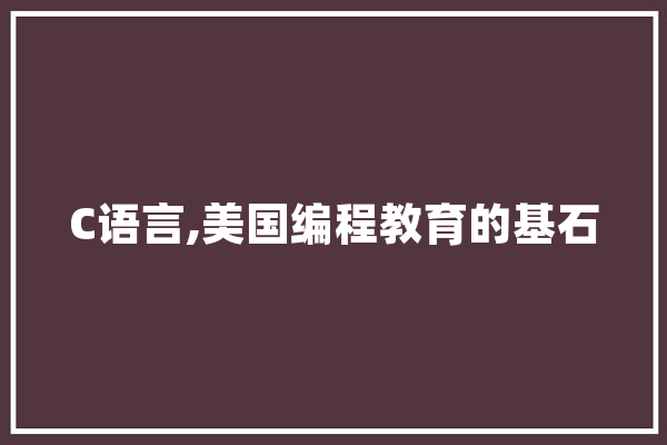 C语言,美国编程教育的基石 AI简讯