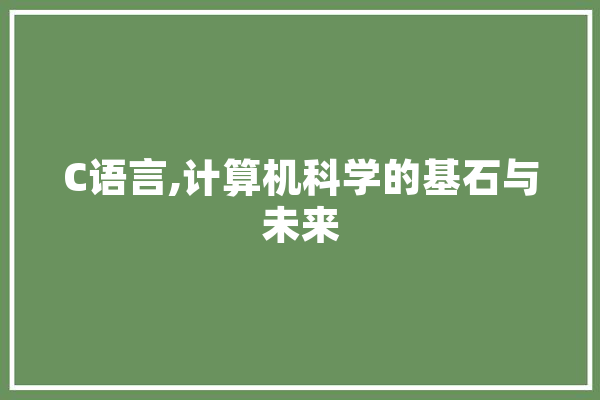 C语言,计算机科学的基石与未来