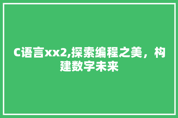 C语言xx2,探索编程之美，构建数字未来 科技快讯