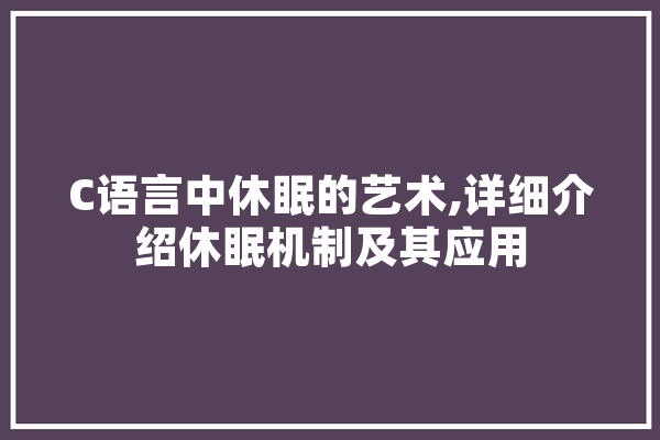 C语言中休眠的艺术,详细介绍休眠机制及其应用