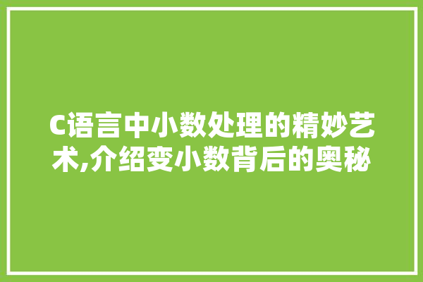 C语言中小数处理的精妙艺术,介绍变小数背后的奥秘 智能写作