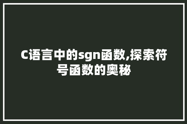 C语言中的sgn函数,探索符号函数的奥秘 智能助手