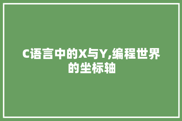 C语言中的X与Y,编程世界的坐标轴