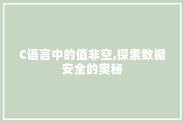 C语言中的值非空,探索数据安全的奥秘