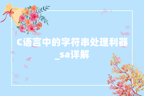 C语言中的字符串处理利器_sa详解 文字写作