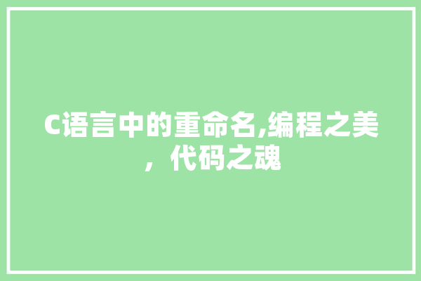 C语言中的重命名,编程之美，代码之魂
