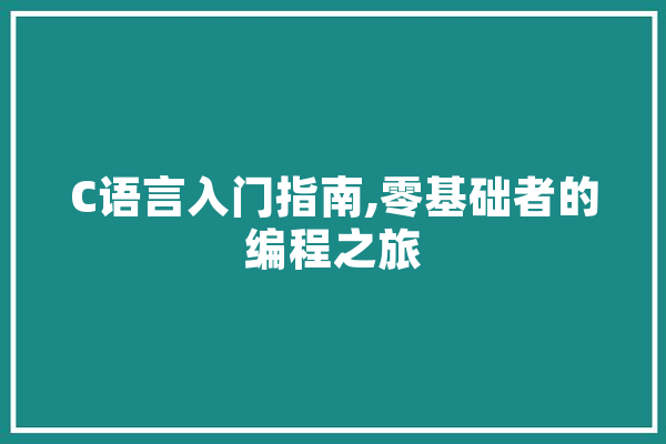 C语言入门指南,零基础者的编程之旅 云服务