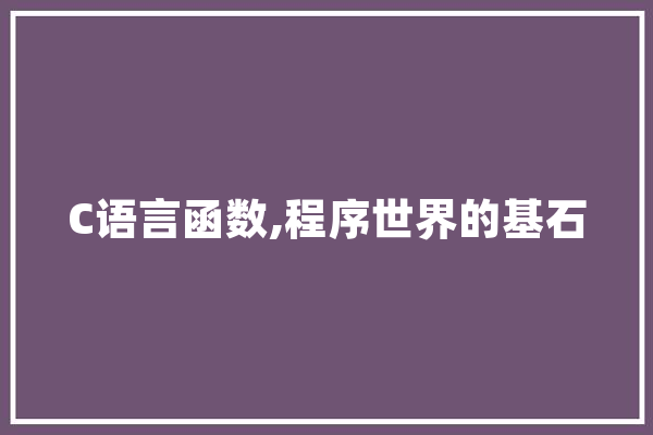 C语言函数,程序世界的基石