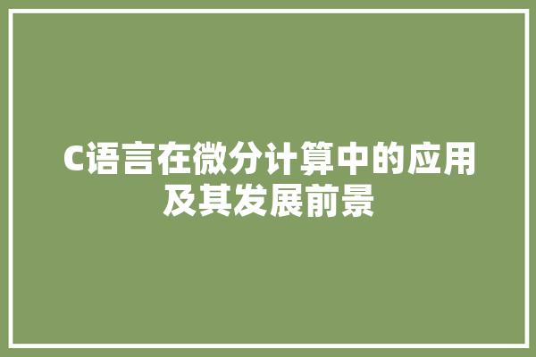 C语言在微分计算中的应用及其发展前景
