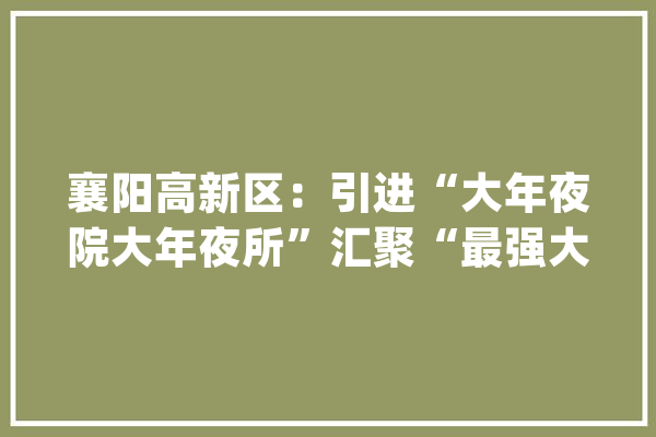 襄阳高新区：引进“大年夜院大年夜所”汇聚“最强大脑”_襄阳_家当 智能写作