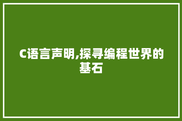 C语言声明,探寻编程世界的基石 计算机