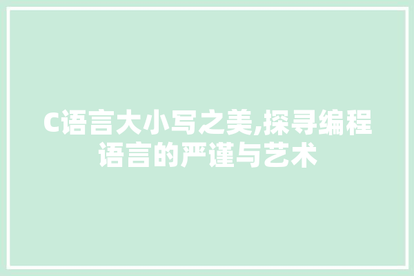 C语言大小写之美,探寻编程语言的严谨与艺术 云服务