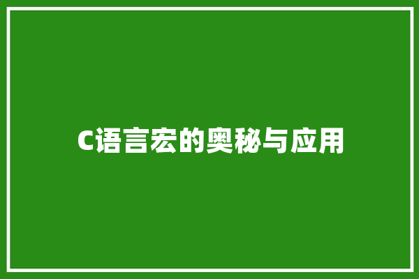 C语言宏的奥秘与应用 智能助手