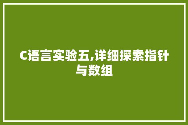 C语言实验五,详细探索指针与数组 智能问答