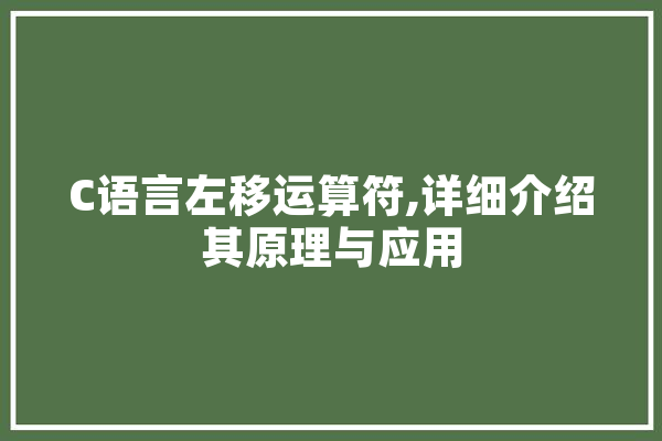 C语言左移运算符,详细介绍其原理与应用 AI快讯
