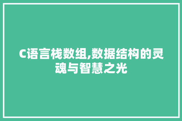 C语言栈数组,数据结构的灵魂与智慧之光